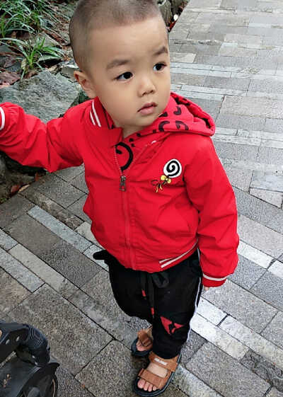 模特-