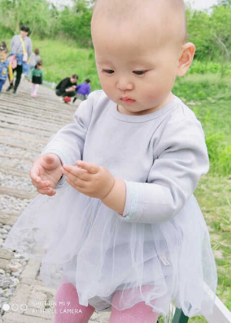模特-