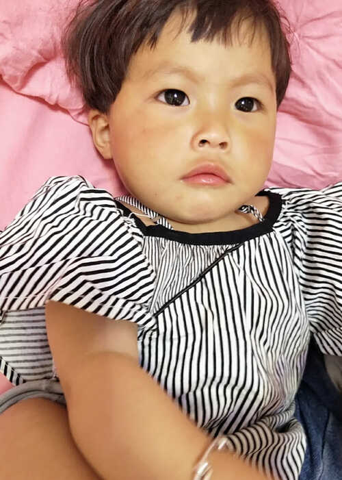 模特-