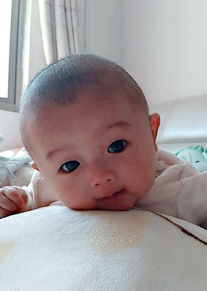 模特-