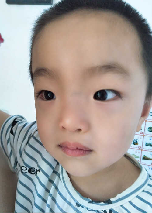 模特-