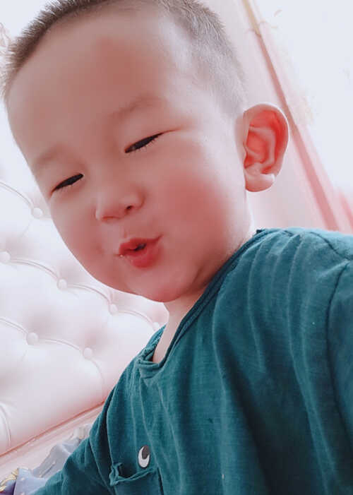 模特-