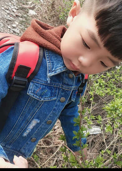 模特-