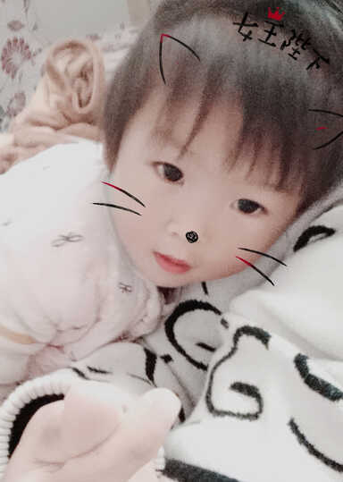 模特-