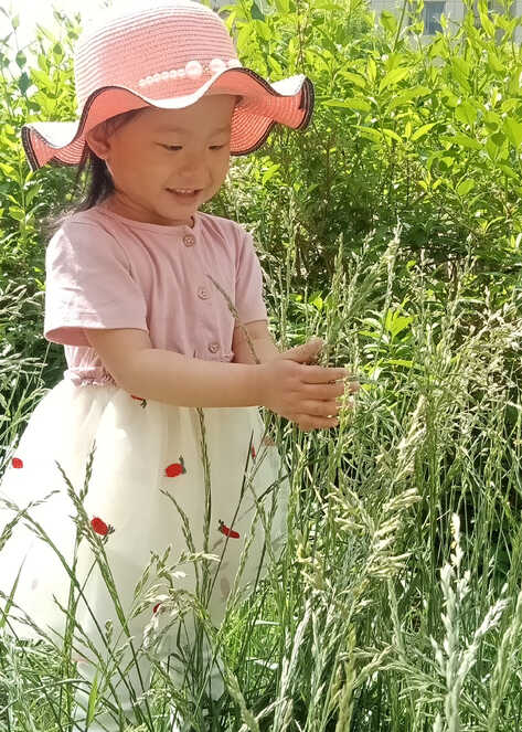 模特-