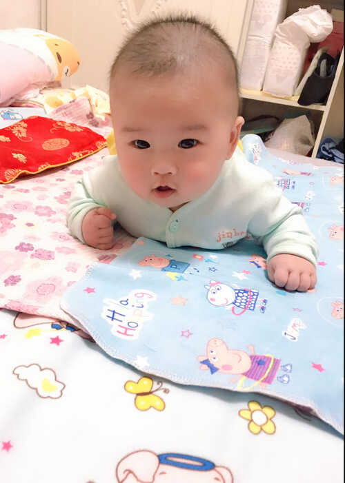 模特-