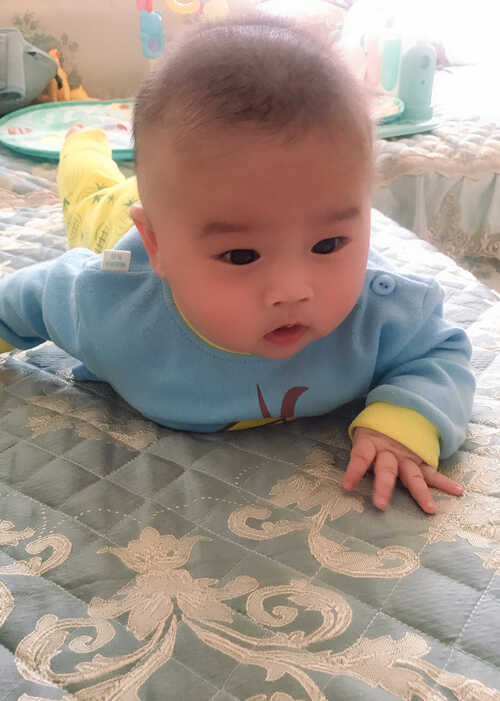 模特-