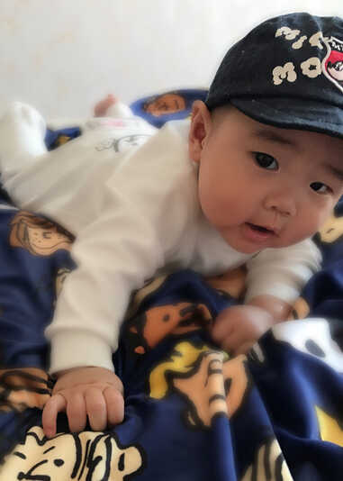 模特-