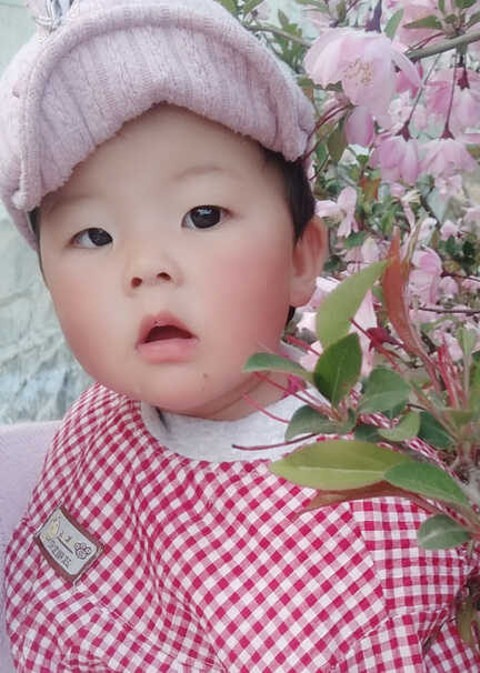 模特-