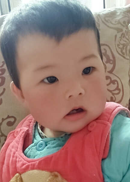 模特-