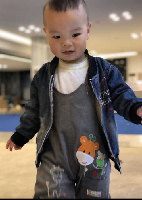 模特-