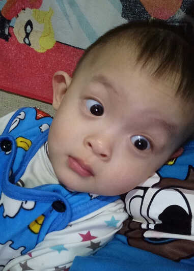 模特-