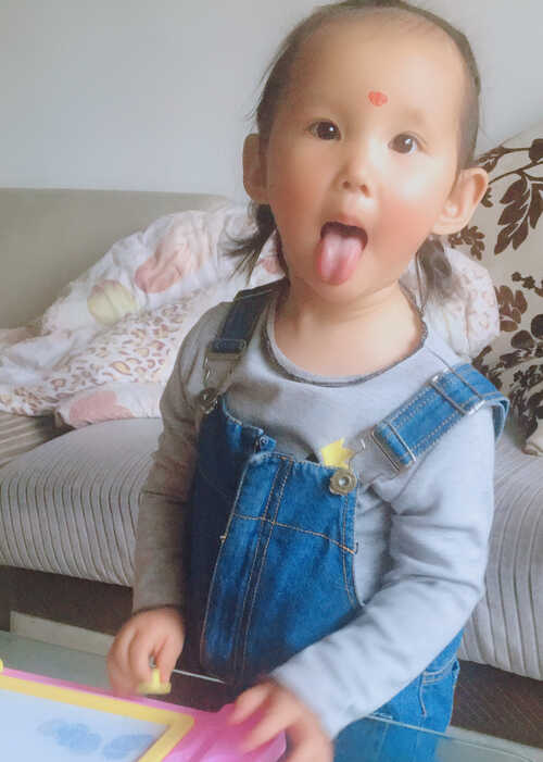 模特-