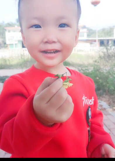 模特-