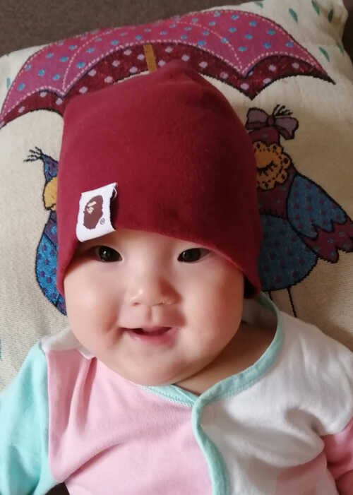 模特-