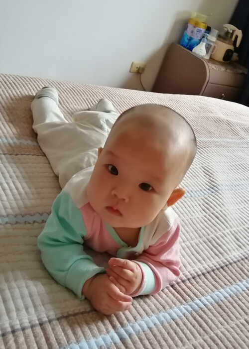 模特-
