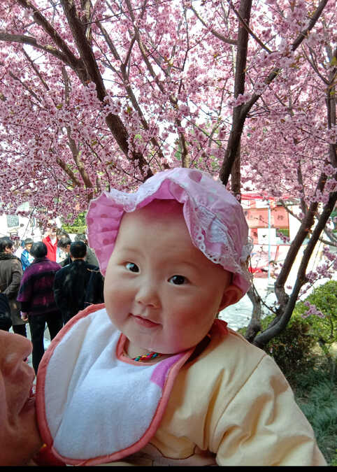 模特-