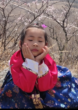 模特-