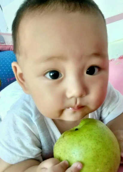 模特-