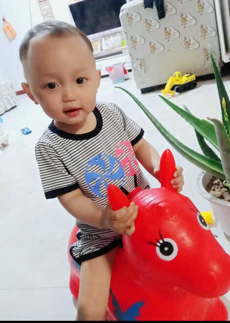 模特-
