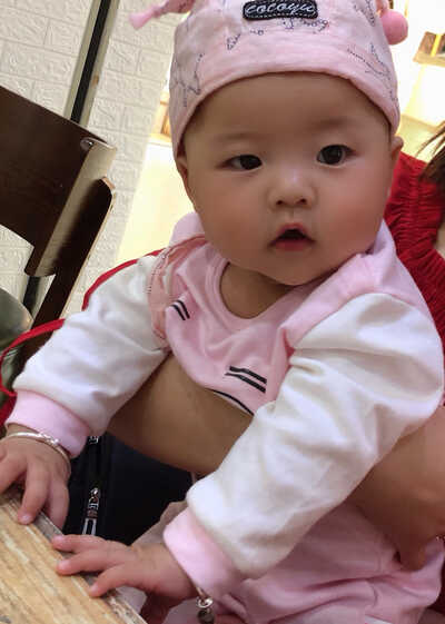 模特-