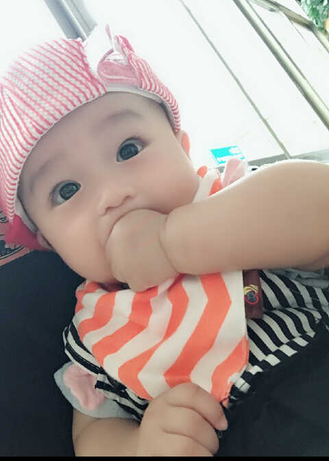 模特-