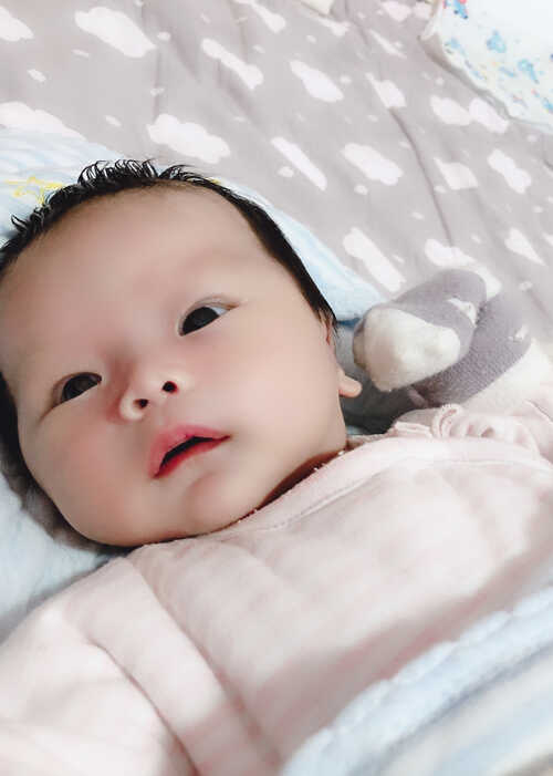 模特-
