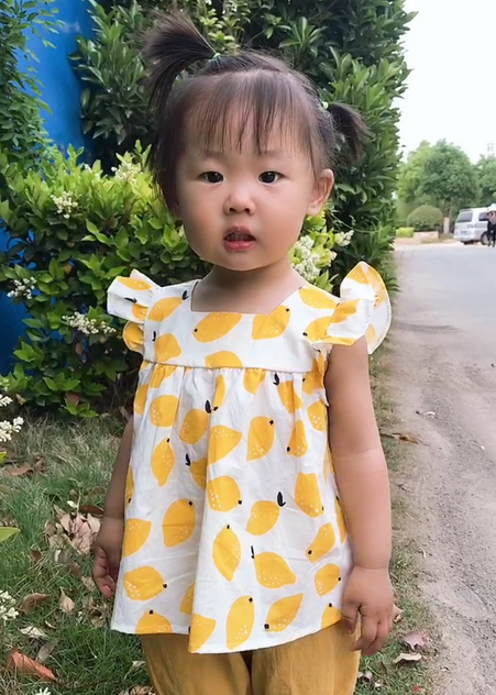 模特-