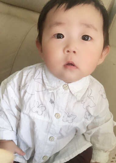 模特-