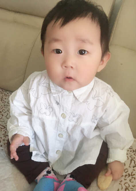 模特-