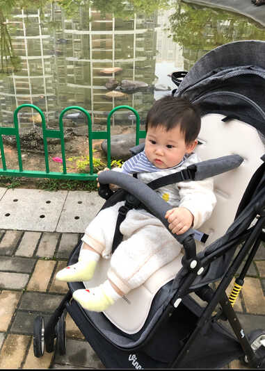 模特-