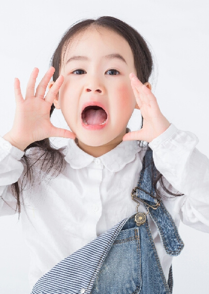 模特-