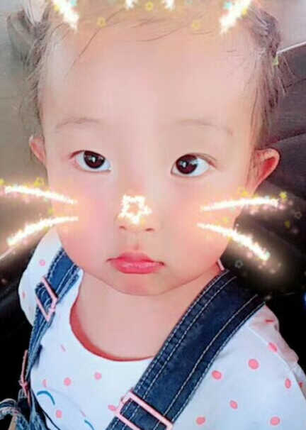 模特-