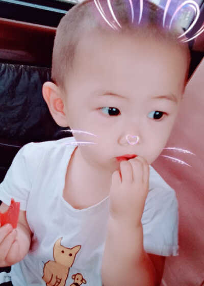 模特-