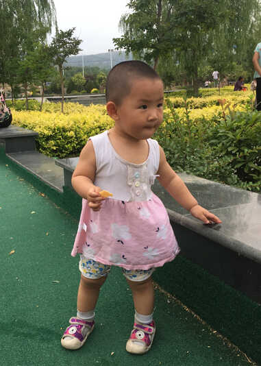 模特-