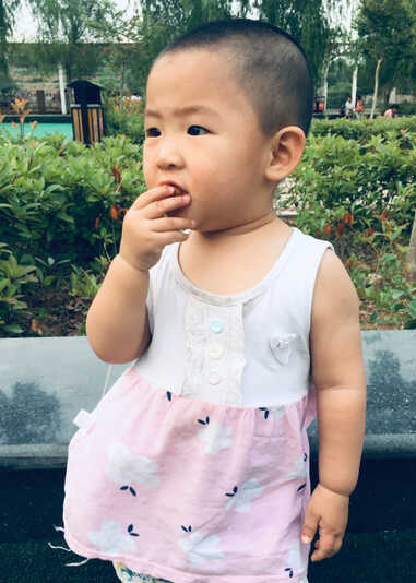 模特-