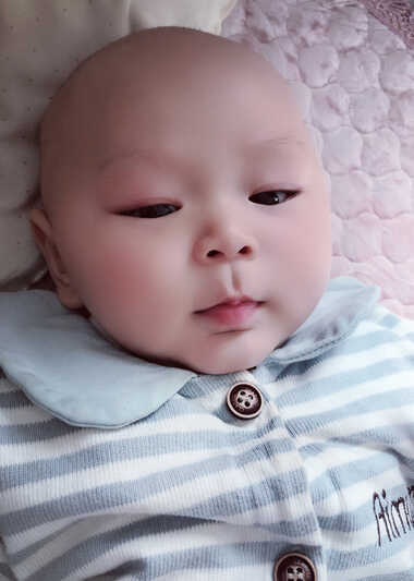 模特-