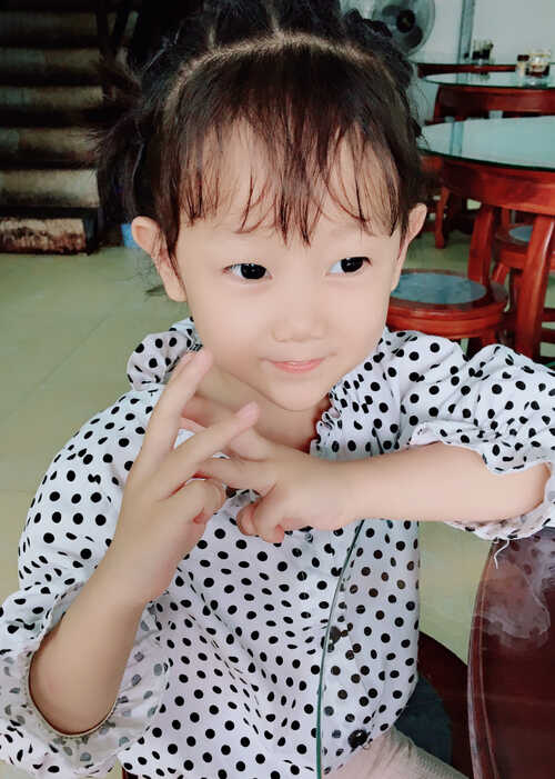 模特-