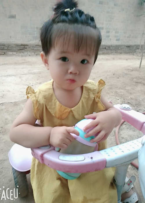 模特-