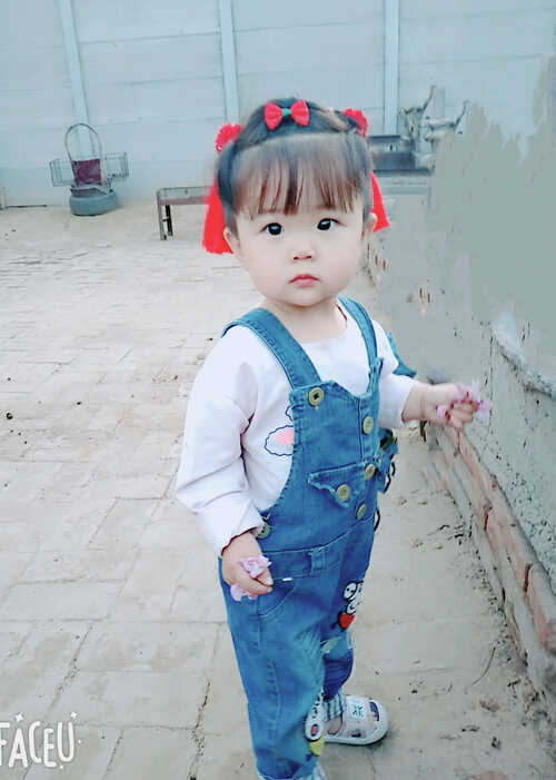 模特-