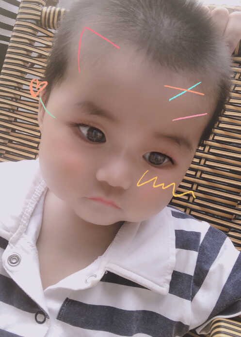 模特-