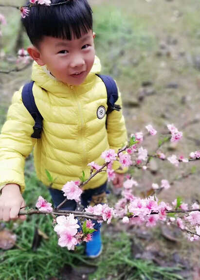 模特-