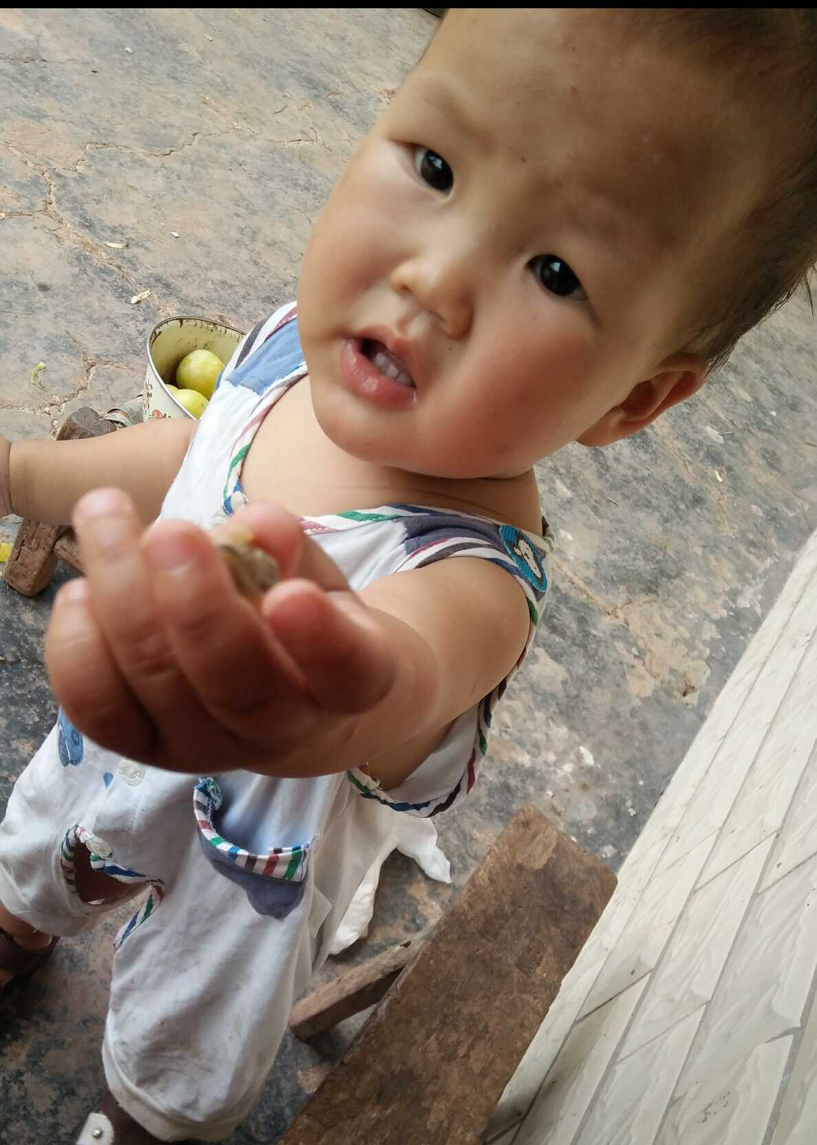 模特-