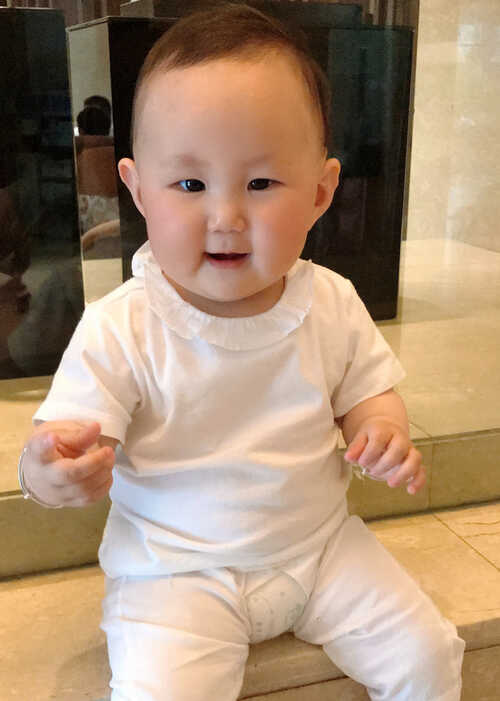 模特-