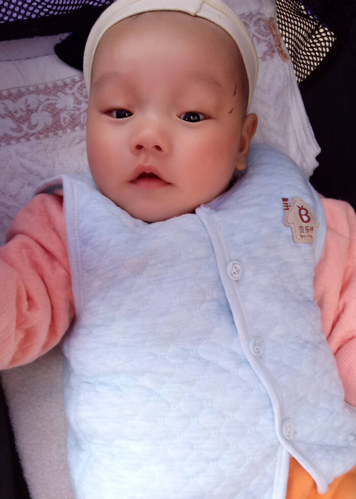 模特-