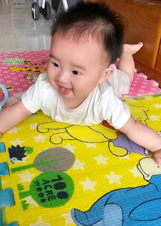 模特-