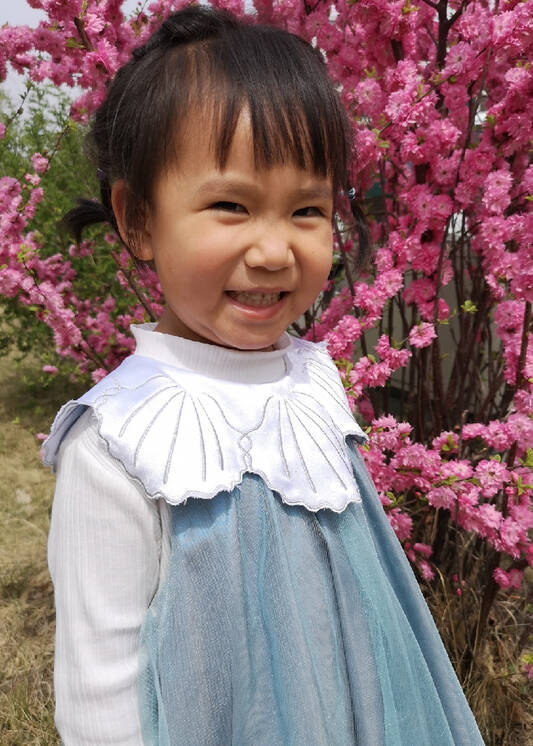 模特-