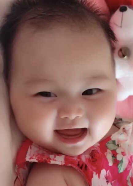 模特-