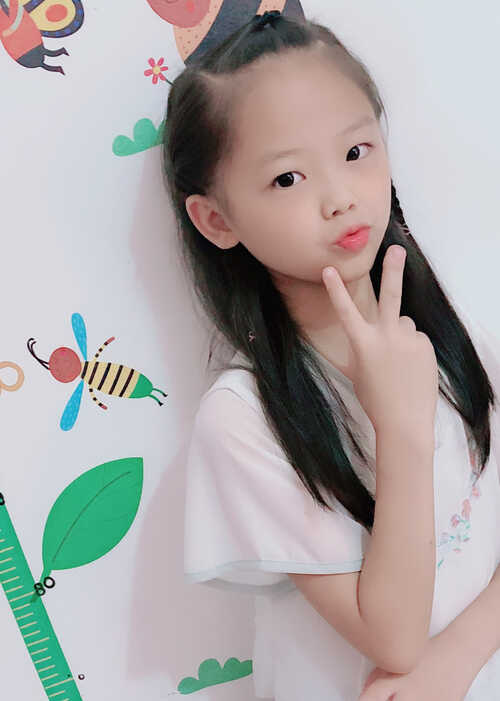 模特-