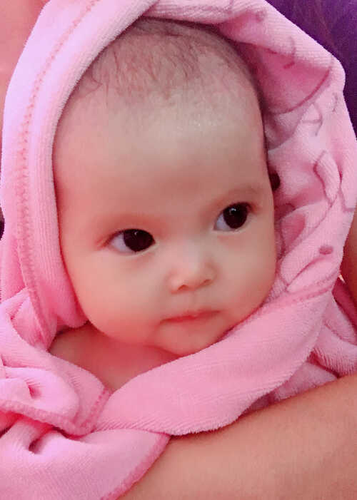 模特-